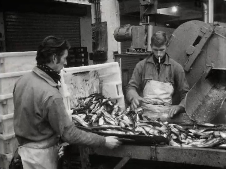 Des ouvriers de la pêche industrielle au travail. [RTS]