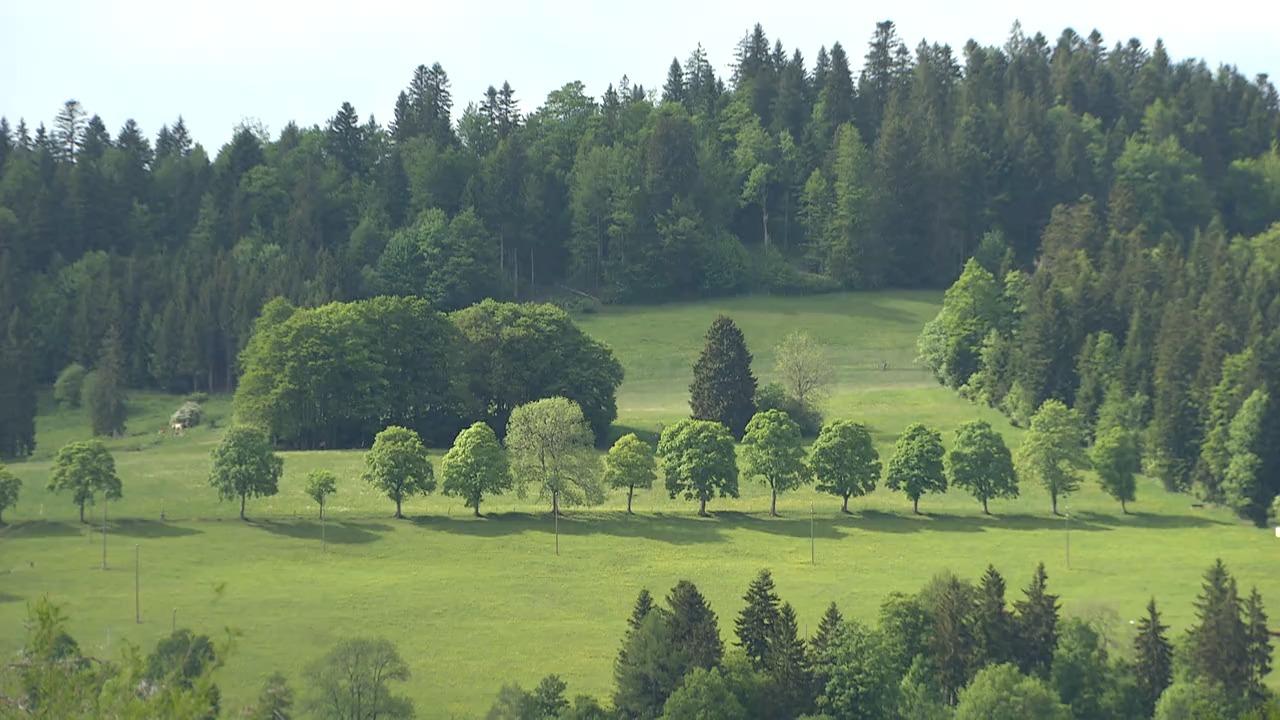 La Vallée de La Sagne