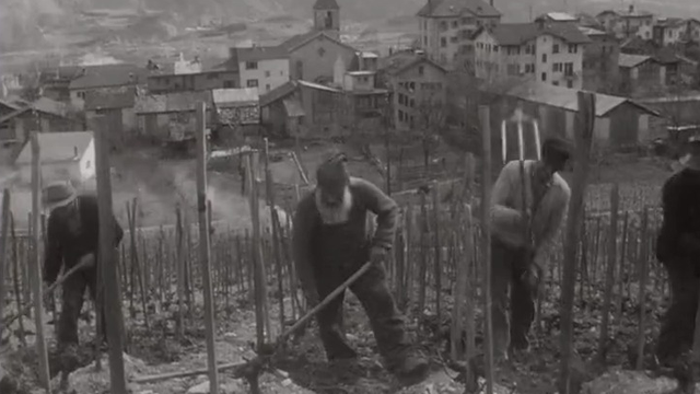 A Saint-Luc, les bourgeois font encore leur corvée.