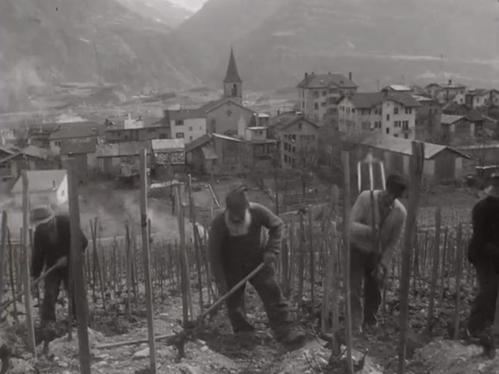 A Saint-Luc, les bourgeois font encore leur corvée.