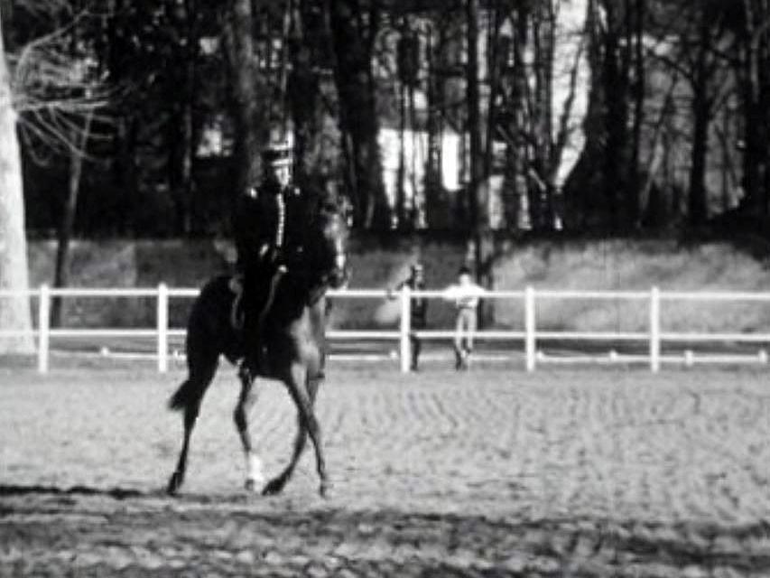 Visite à la prestigieuse Ecole d'équitation française.