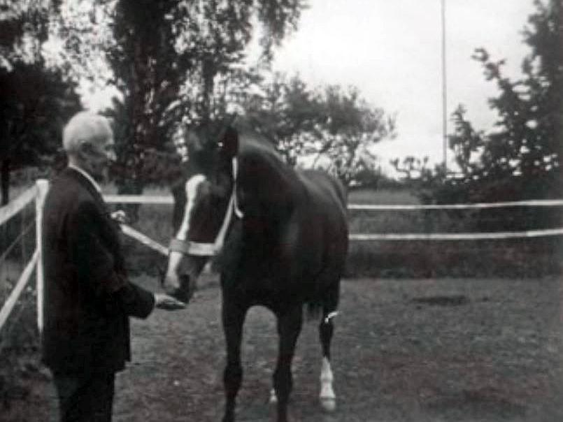 Le Général Guisan présente à la TSR un de ses chevaux.