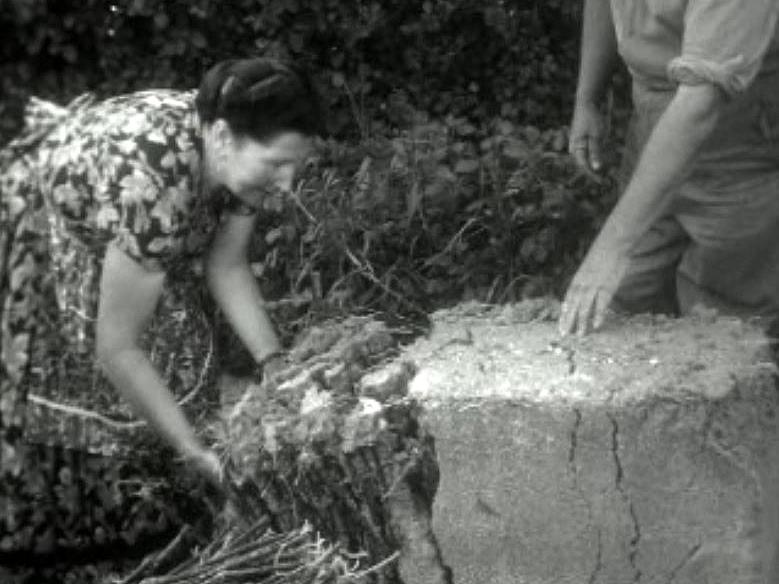 Retrouvez l'animation quotidienne dans les rues d'un village valaisan en 1962.