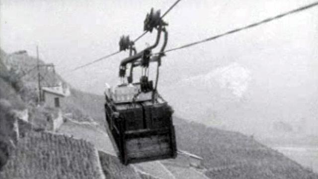 En Valais, la vendange est transportée par téléphérique.