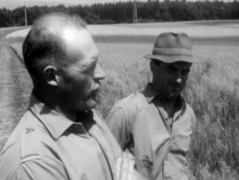 Le temps de la vente aux enchères d'un domaine agricole.