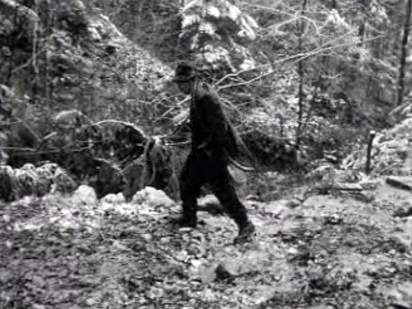 Le père Piqueret vit en ermite dans la forêt de Grandval.