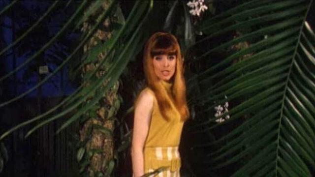 Elle a chanté: Quel coeur vas-tu briser? à l'Eurovision 1967. [RTS]