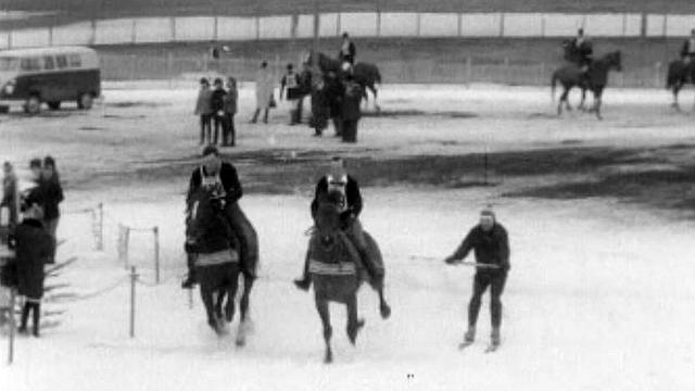 Le ski-jöring, un sport de neige avec des chiens ou des chevaux.