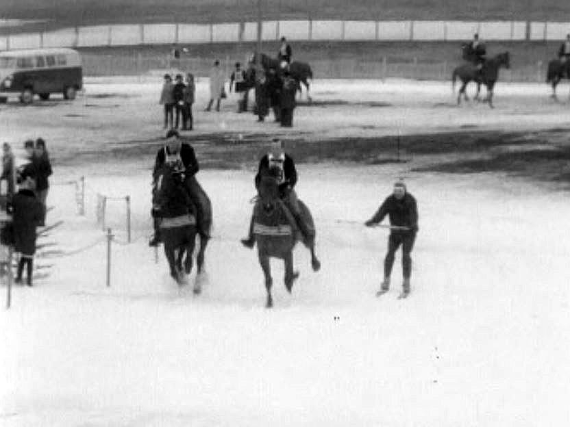 Le ski-jöring, un sport de neige avec des chiens ou des chevaux.