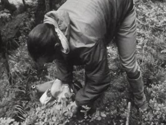 Sur les pas d'une jeune botaniste dans le vallon de Nant. [RTS]