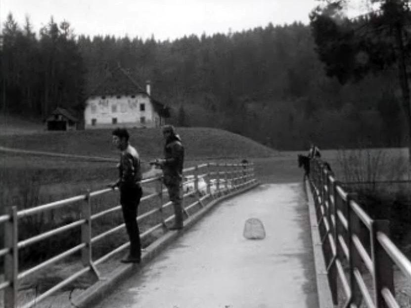 C'est un poisson protégé de la Sarine. Reportage à Hauterive. [RTS]