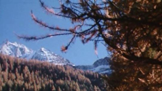 Les paysages exceptionnels de la vallée du Lötschental en Valais. [RTS]