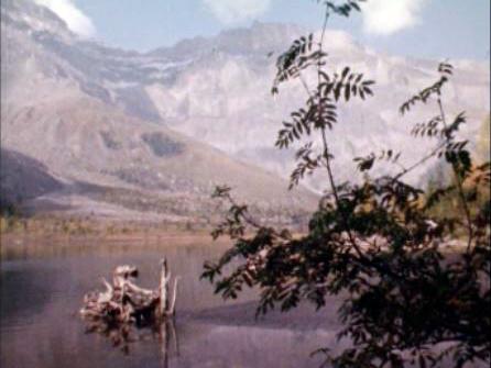 Une réserve naturelle de première importance pour la Suisse. [RTS]