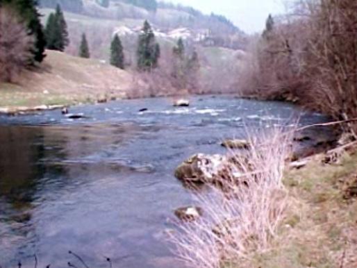 La rivière du Doubs est-elle réellement la moins polluée d'Europe? [RTS]