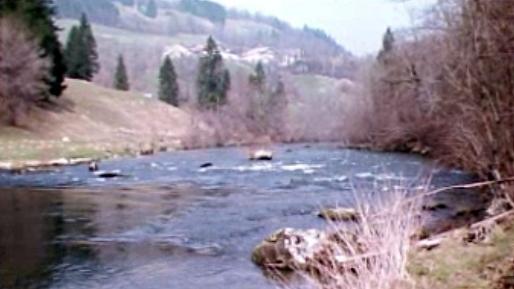 La rivière du Doubs est-elle réellement la moins polluée d'Europe? [RTS]