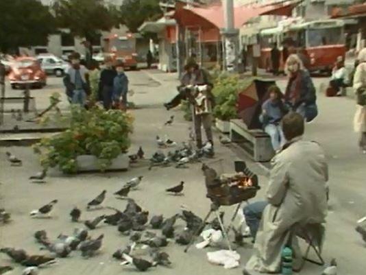 Les pigeons des villes sont bien meilleurs à la broche. [RTS]