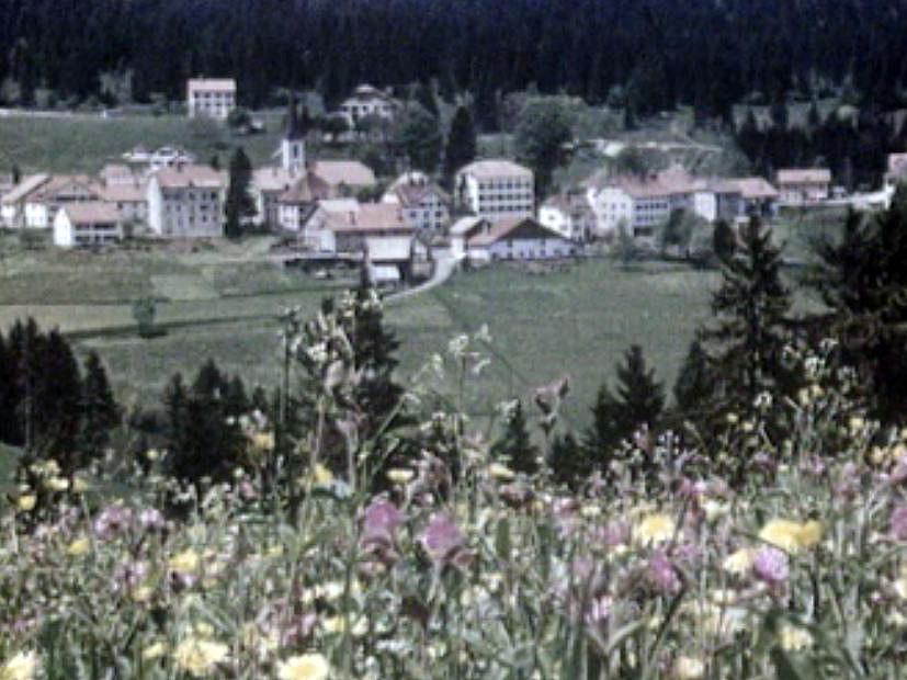 La vie au quotidien d'une ferme dans le Jura des années 50.