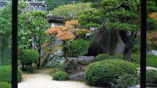 Dans l'univers végétal de Gilles Clément et du jardin Citroën.