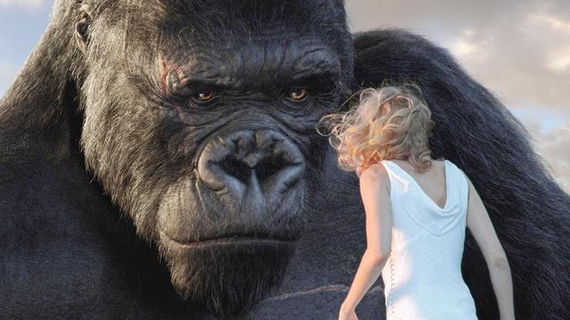 2011. King Kong [RTS/NBC]