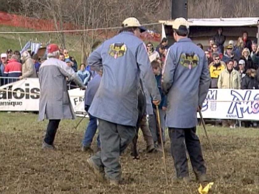 Le succès du combat de reines sert le monde agricole.