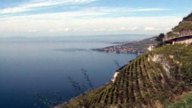 Le vignoble vaudois accède enfin au patrimoine mondial.