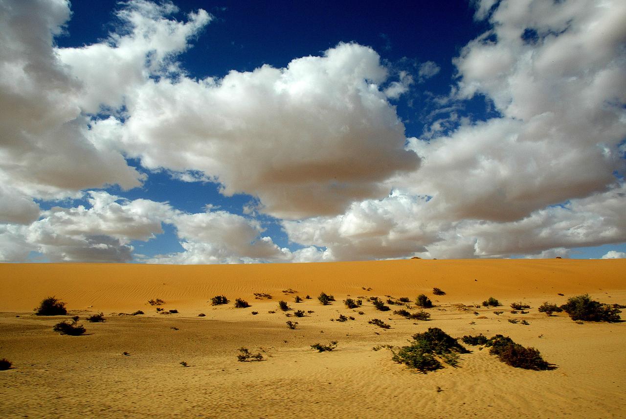 Mali désert otages France