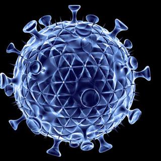 Le virus du sida. [Science Photo Library /afp]