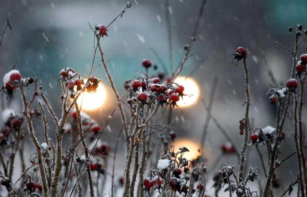 Il pourrait tomber jusqu'à 10 centimètres de neige en plaine entre vendredi et samedi. [Focke Strangmann]