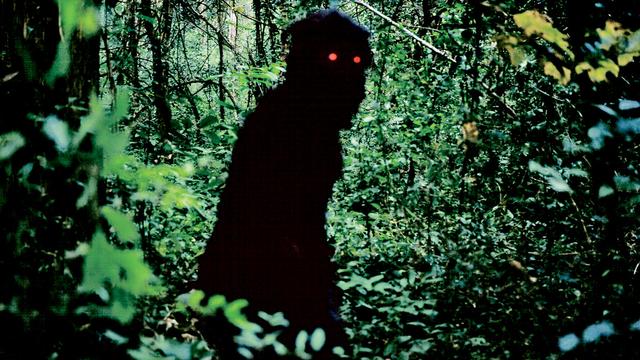 Des hommes-singes dans la jungle. Un mystère... (photo: Trigon-Film)