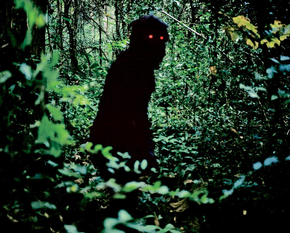 Des hommes-singes dans la jungle. Un mystère... (photo: Trigon-Film)