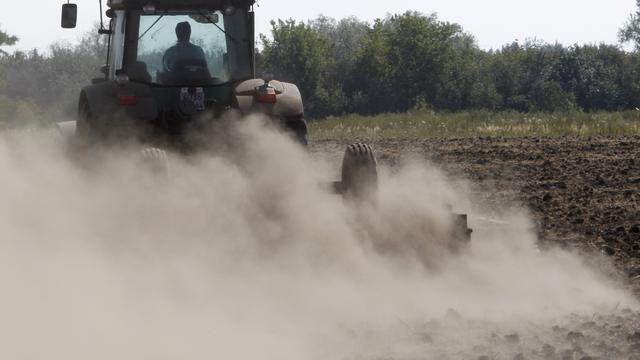 Le manque d'eau dans une ferme collective près de la ville de Voronezh, une région touchée par les incendies. [Reuters]