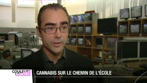 NE: la police a démantelé un trafic de cannabis se déroulant aux abords d'une école secondaire à Colombier