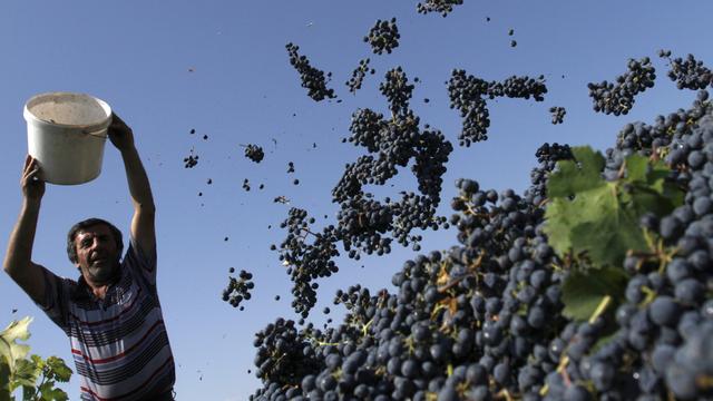 Les pays chauds voient la teneur en alcool du vin augmenter et ne peuvent y remédier sans en altérer la saveur [David Mdzinarishvili]