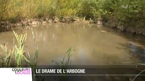 Broie (FR) : une pollution d'origine inconnue a provoqué la mort de plusieurs milliers de poissons