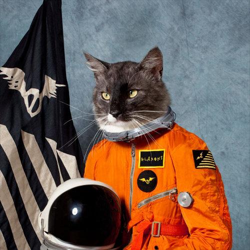 La pochette du deuxième album des Klaxons.