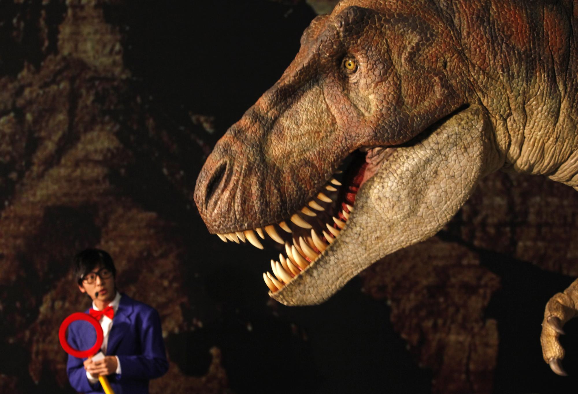 Le tyrannosaure rex est désormais l'un des rares dinosaures carnivores. [Nicky Loh]