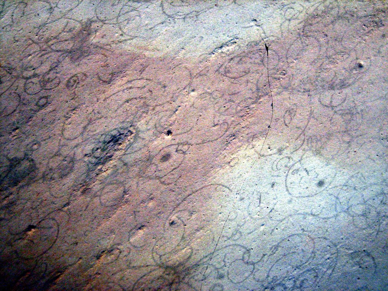 Ce fossile de Grypania spiralis date d'environ 1,6 milliard d'années [Wikipedia]