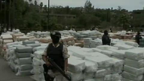 Saisie record de drogue au Mexique