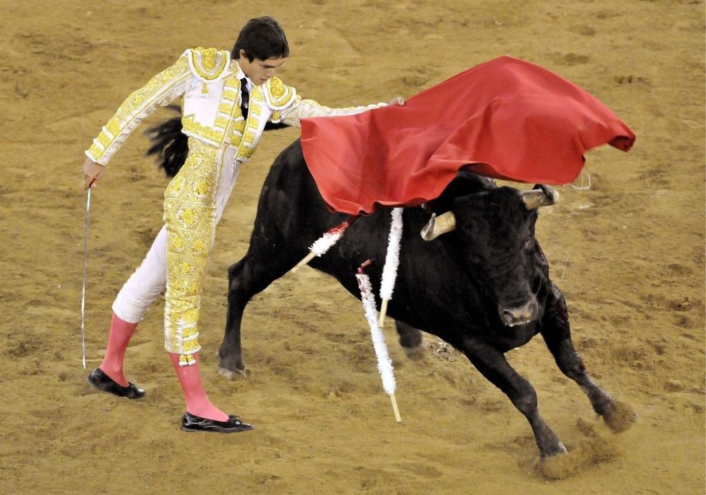 La tauromachie reste autorisée dans le sud de la France.