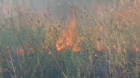 Le blé russe victime des incendies