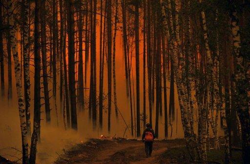 Une forêt en feu près du village de Golovanovo en Russie, le 5 août 2010.