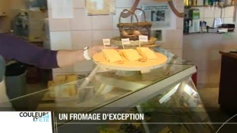 Les Ponts-de-Martel (NE): découverte du Gruyère AOC