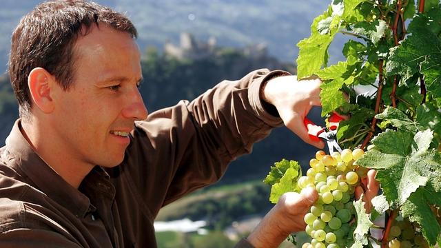 Après le football, Bonvin a trouvé son bonheur dans les vignes.