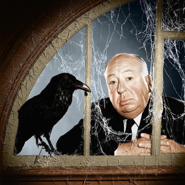 Alfred Hitchcock et les oiseaux. [Universal / The Kobal Collection]