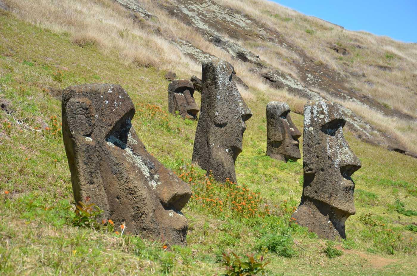Entiers ou pas, quelque 900 moaïs hantent encore Rapa Nui. [cer/boi]
