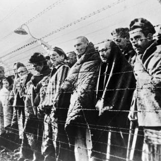 Prisonniers du camp de concentration d'Auschwitz. [Fishman / Ria Novosti]