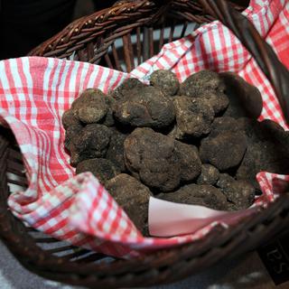 La truffe, une des spécialités de la région française du Périgord, est considérée comme l'une des perles de la gastronomie.