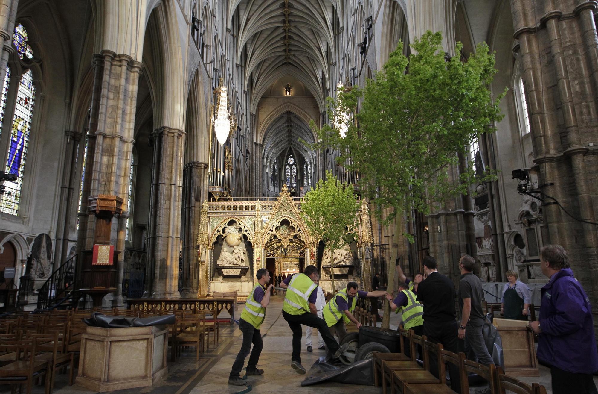 Des arbres de 6 mètres de haut ont été installés dans l'allée de Westminster. [REUTERS - Sang Tan]