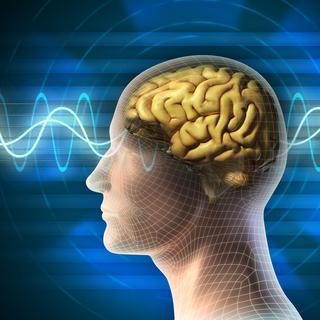Certains désordres du cerveau sont traités avec des impulsions électriques. [Andrea Danti]