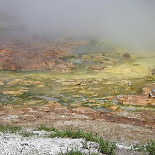 Archées thermophiles, très colorées, dans les geysers de Yellowstone, aux Etats-Unis [wikipédia]